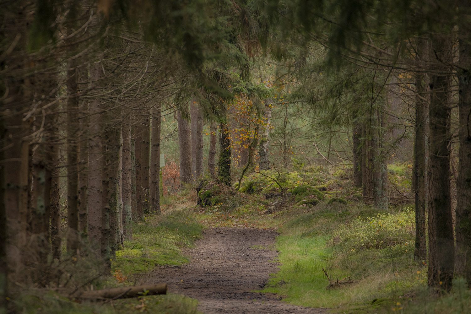 herfstwandelingen