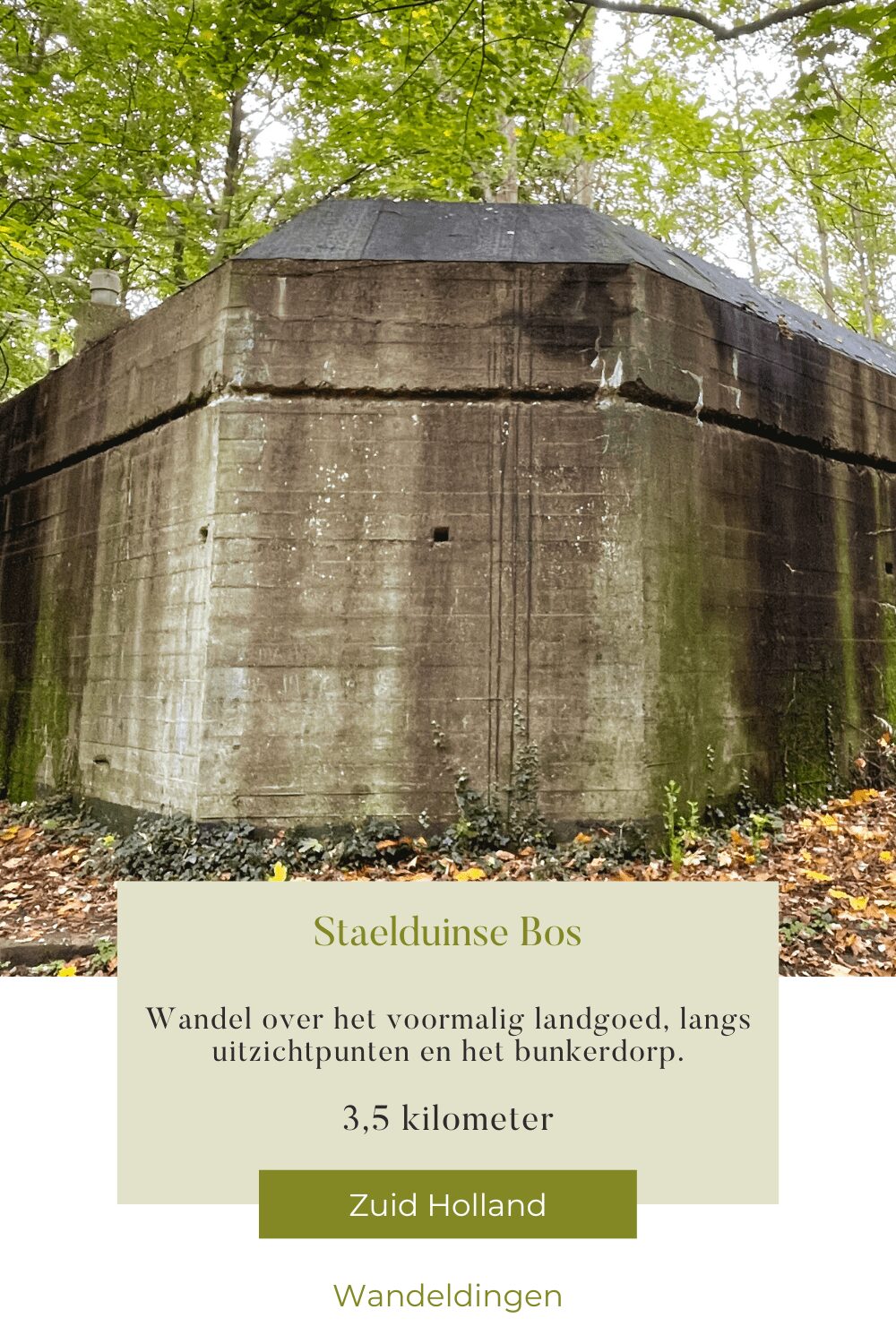 Staelduinse bos