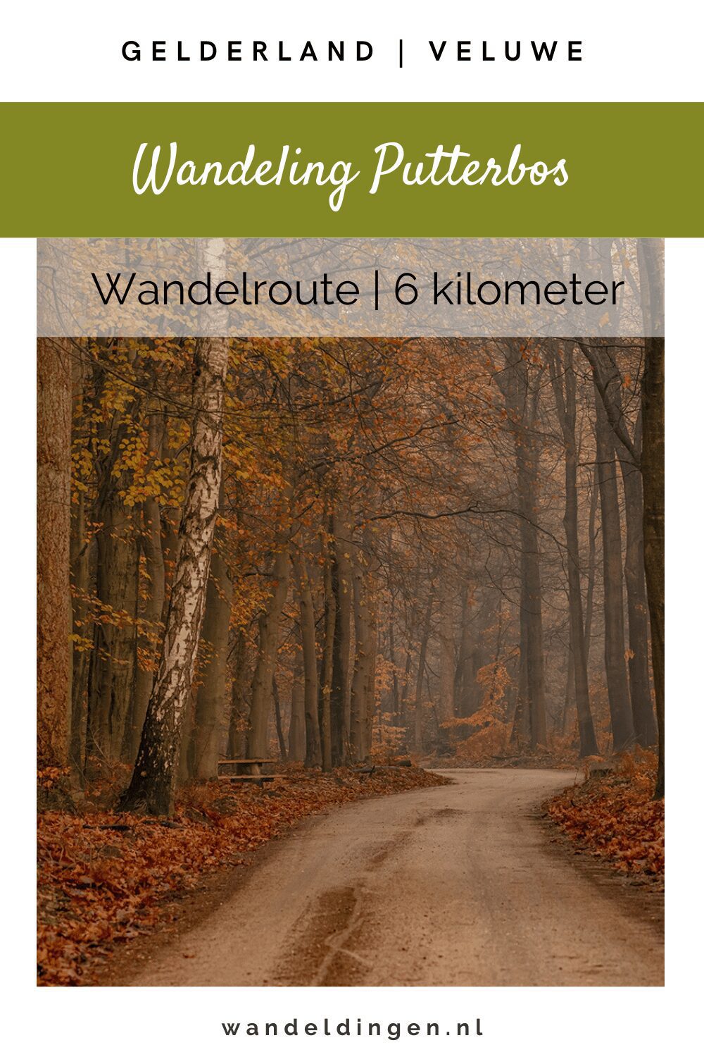 Putterbos wandeling