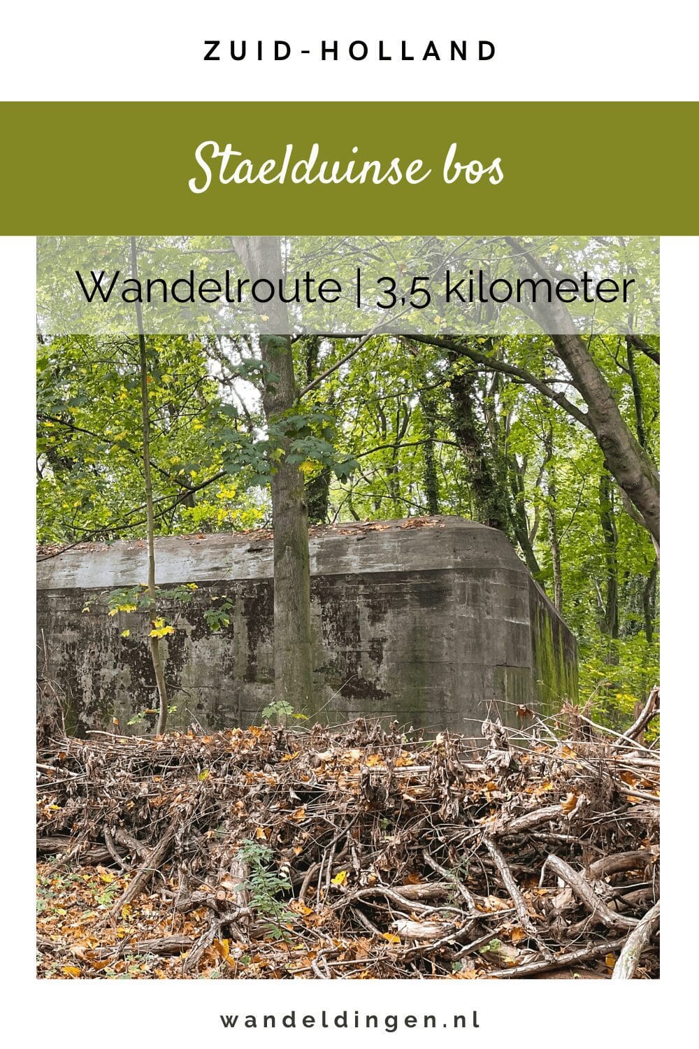 Staelduinse bos