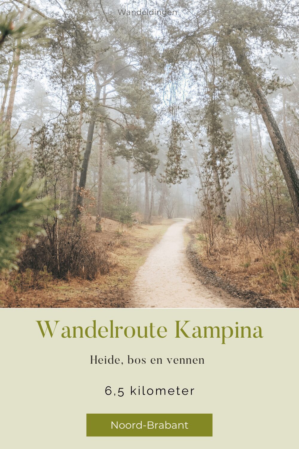 Kampina