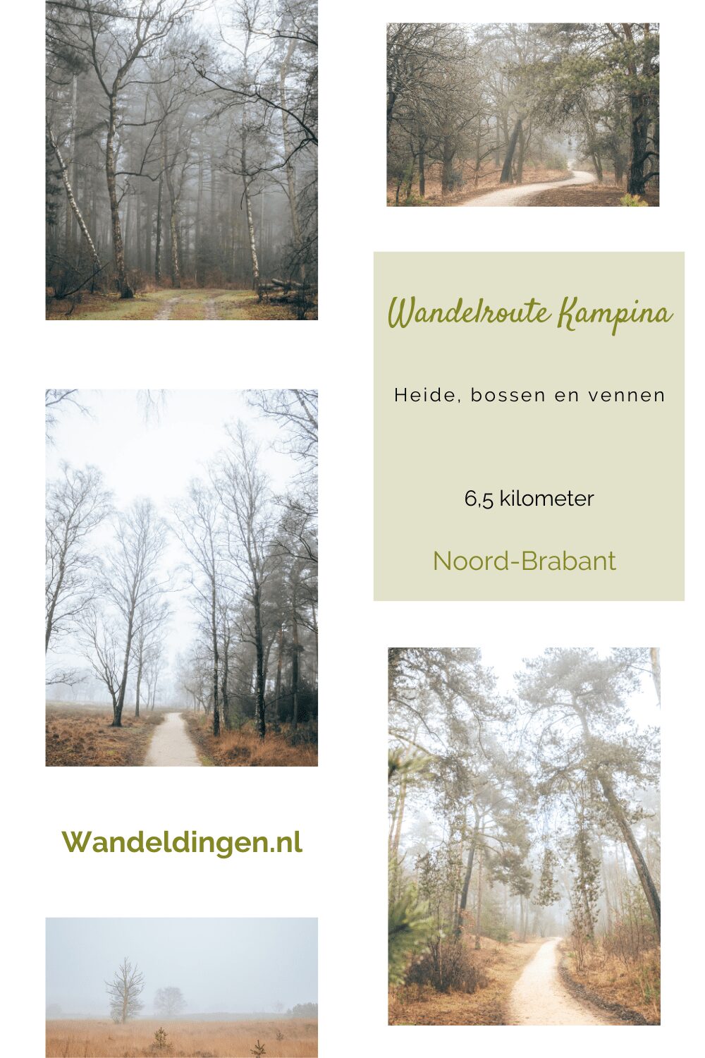 Kampina