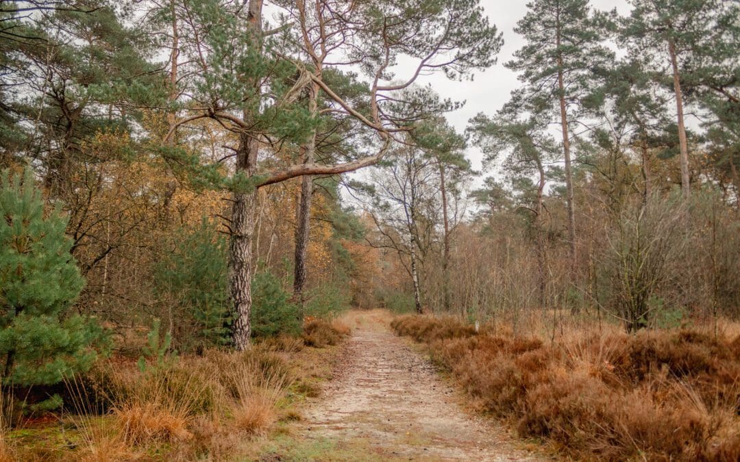 trage tocht soest