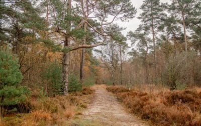Trage Tocht Soest