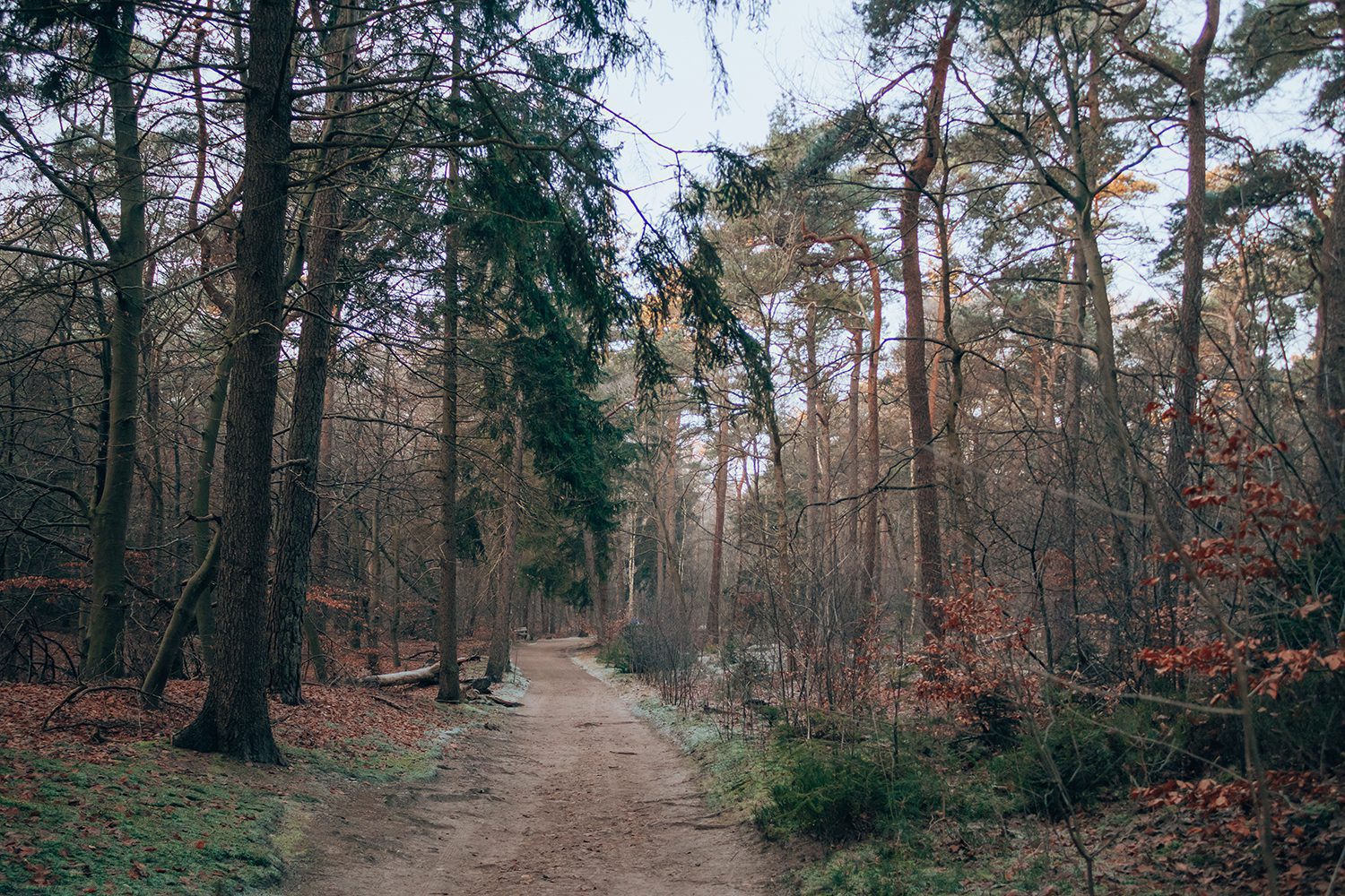 Trage Tocht Bilthoven