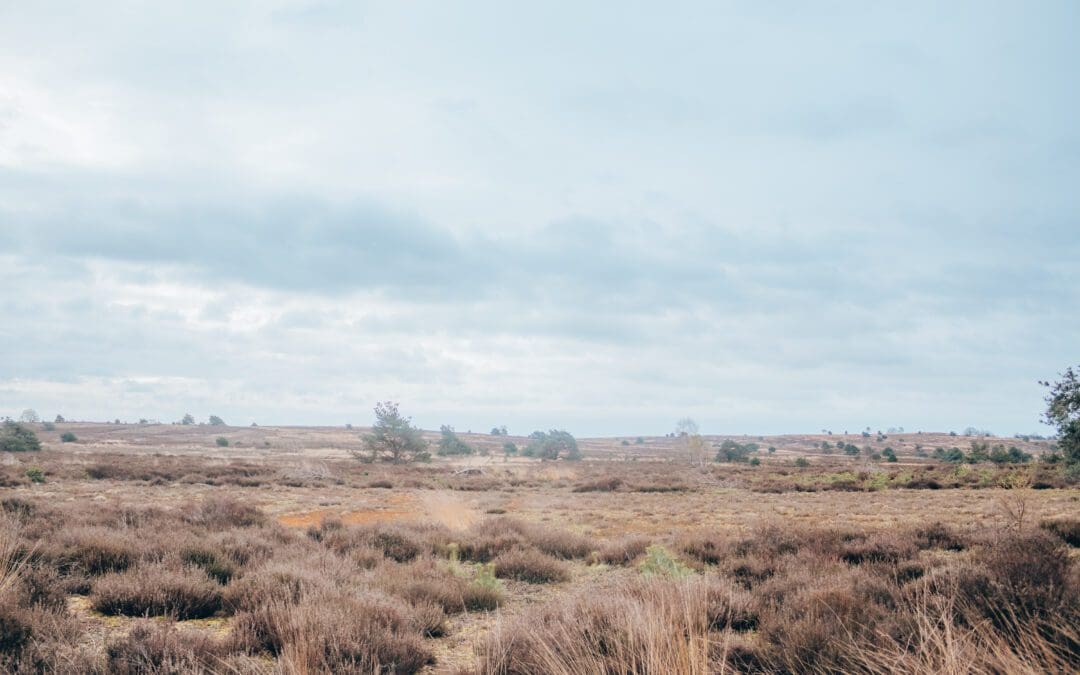 Bergwandelingen nederland