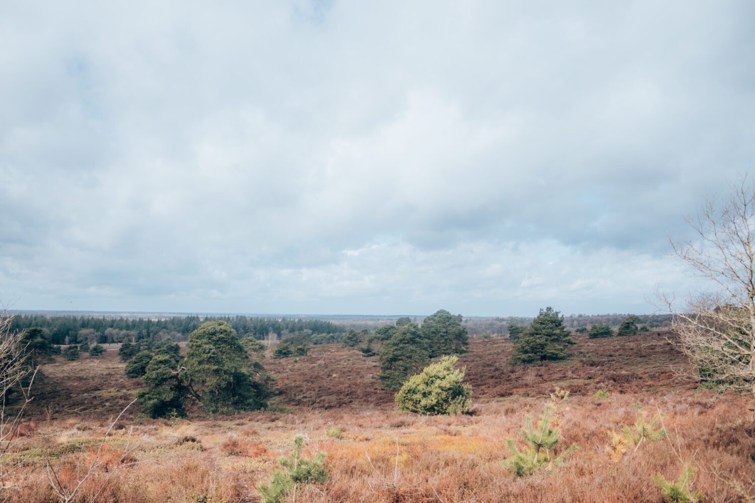 Bergwandelingen nederland