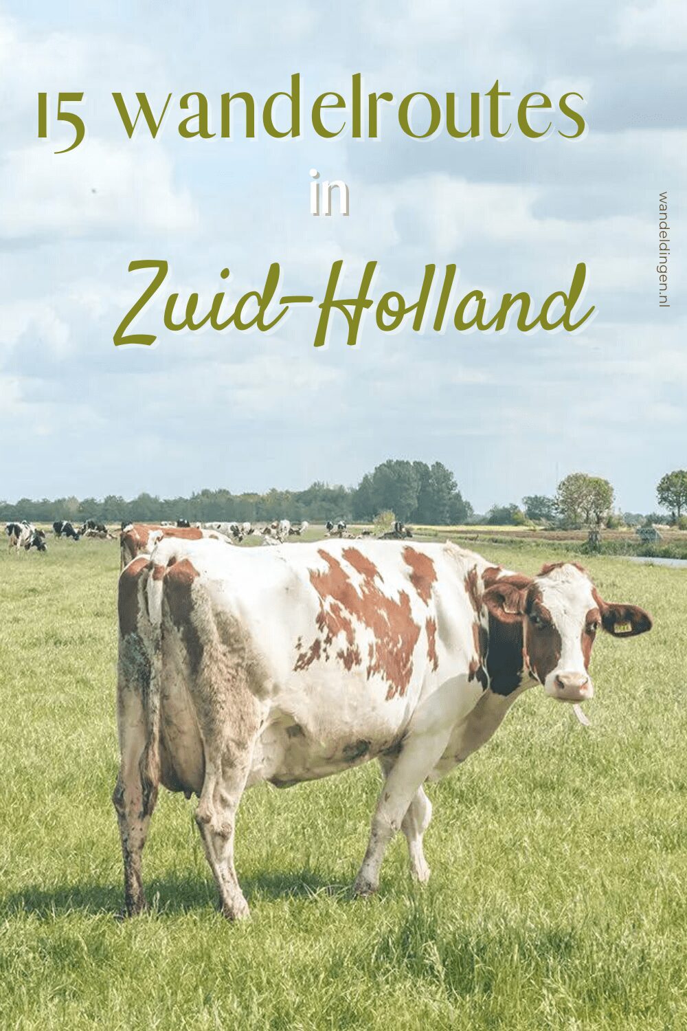 wandelroutes-zuid-holland
