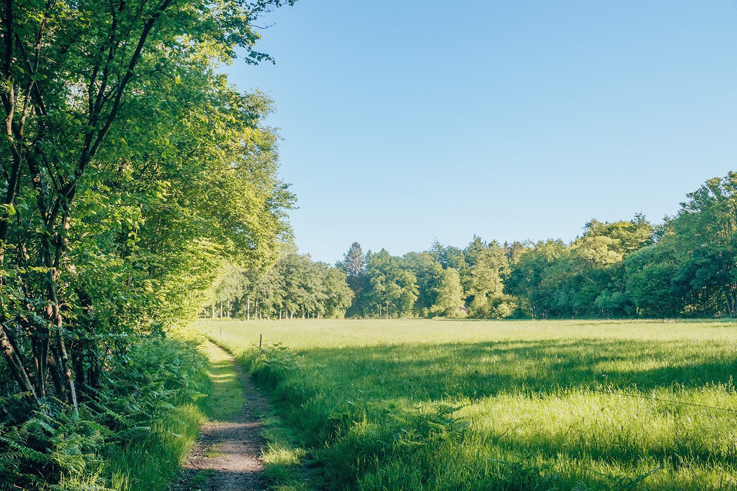 wandelen Garderen