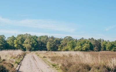 7x wandelroutes Garderen
