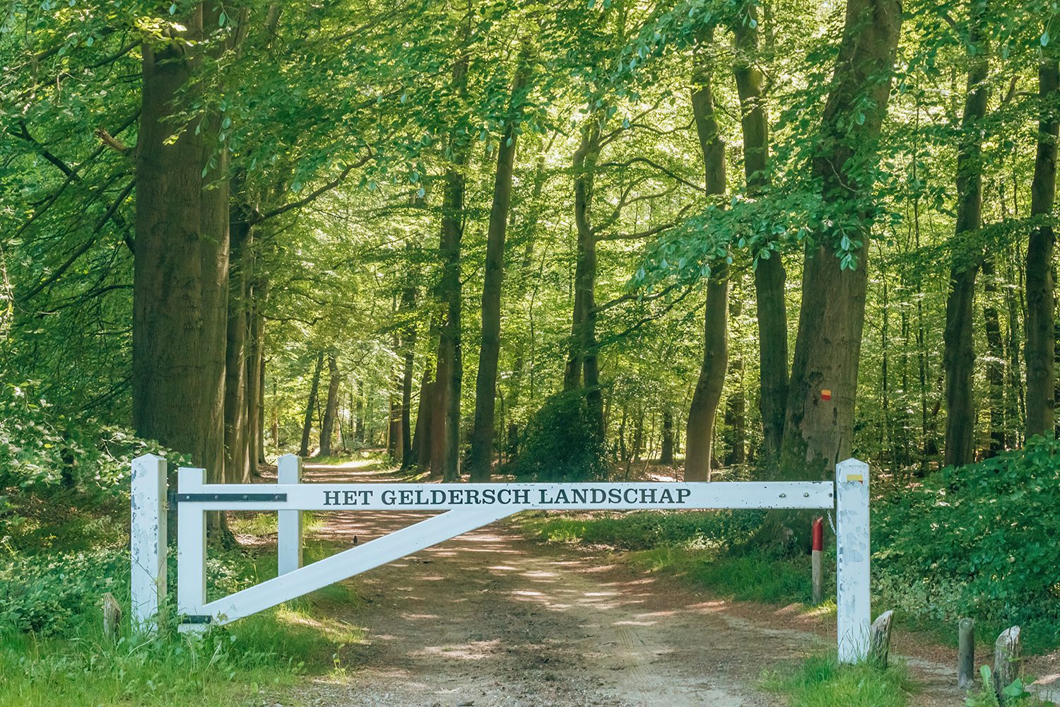 wandelen Garderen