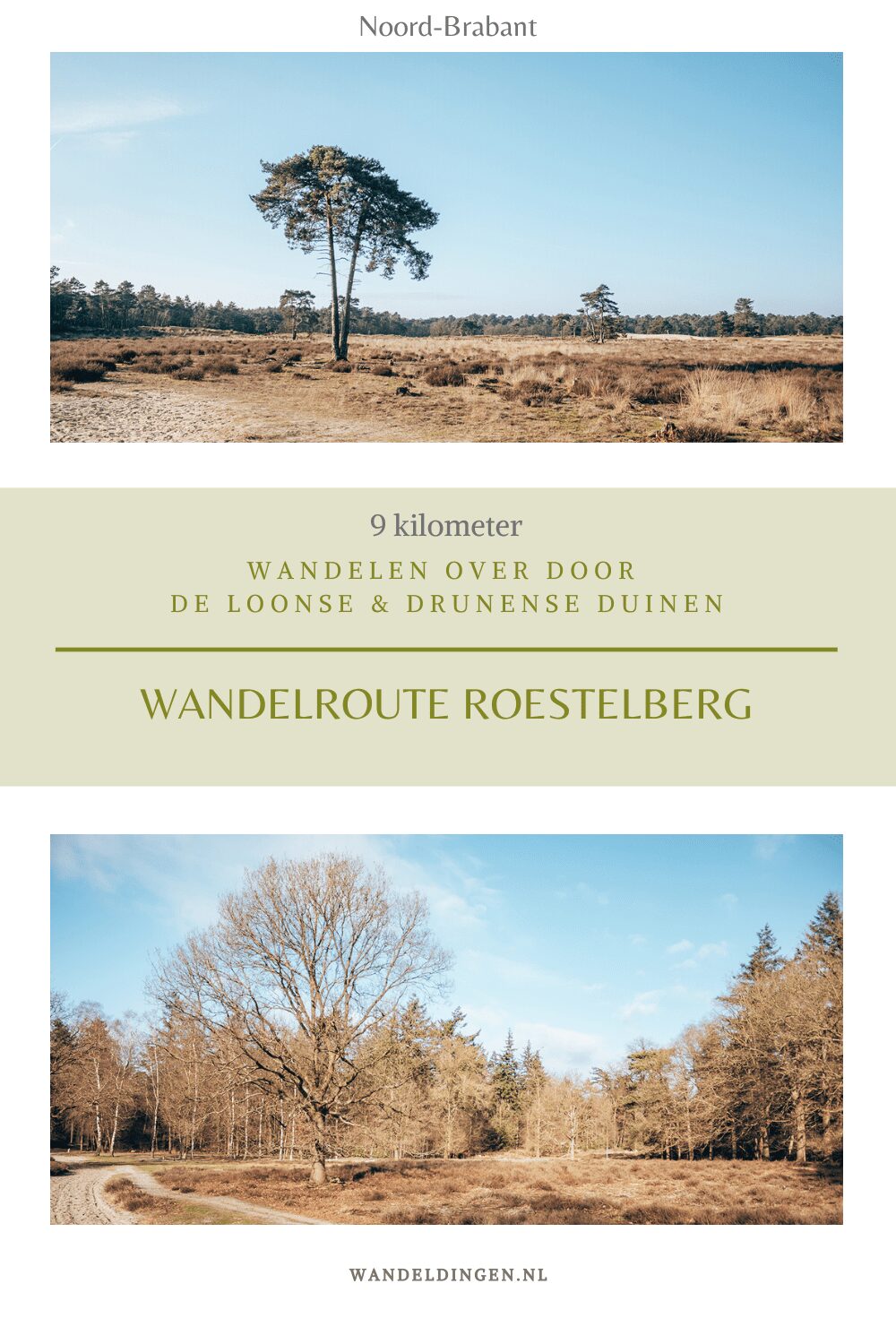 wandelen roestelberg