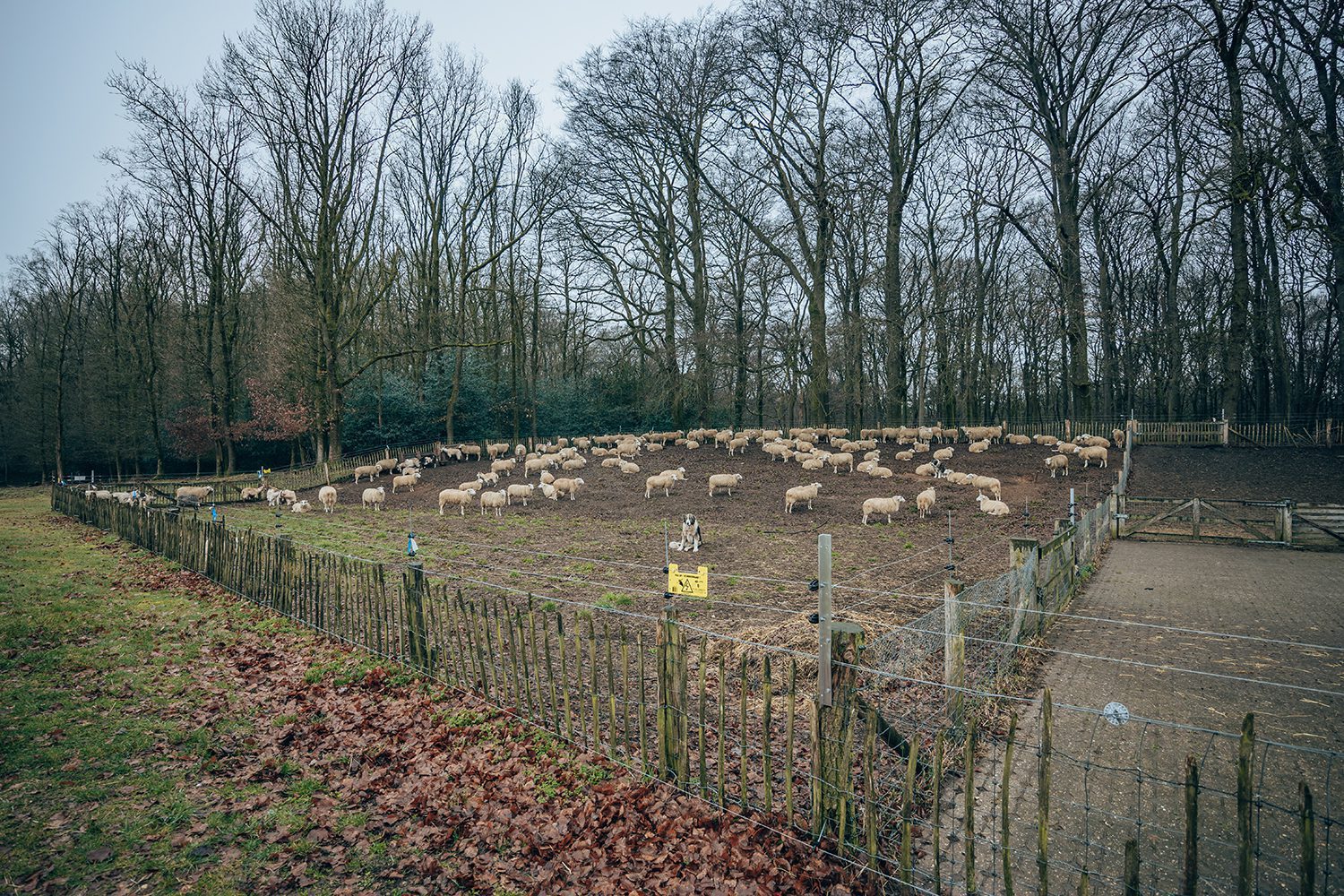 heidewandeling radio kootwijk