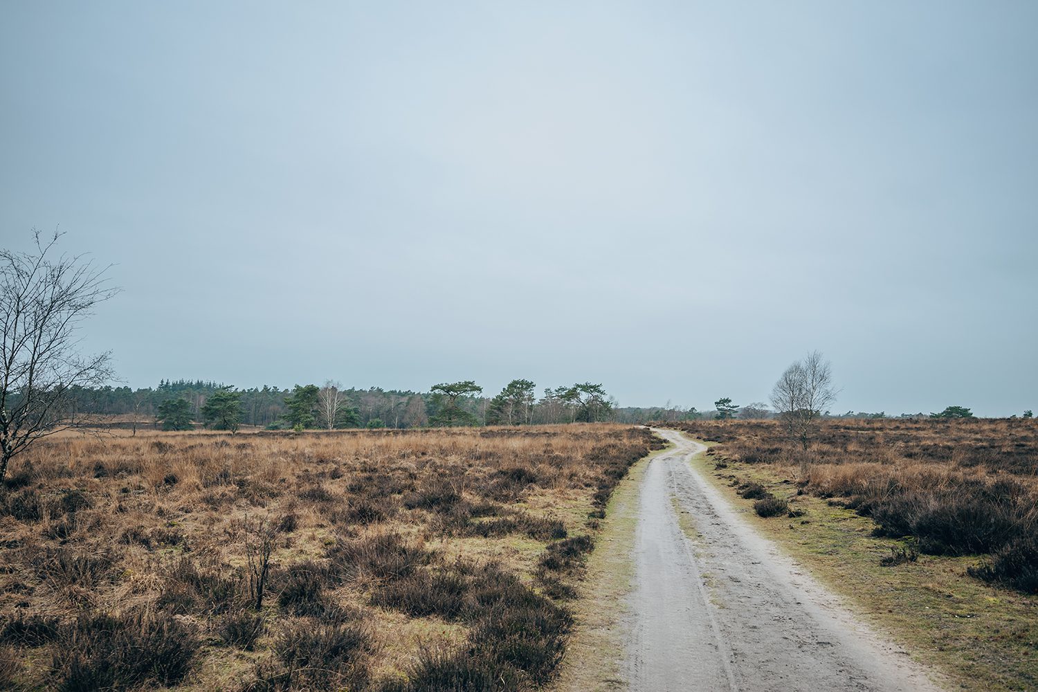 heidewandeling radio kootwijk