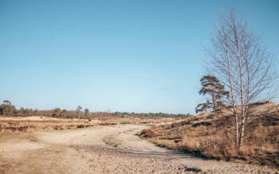 Wandelroute Roestelberg 
