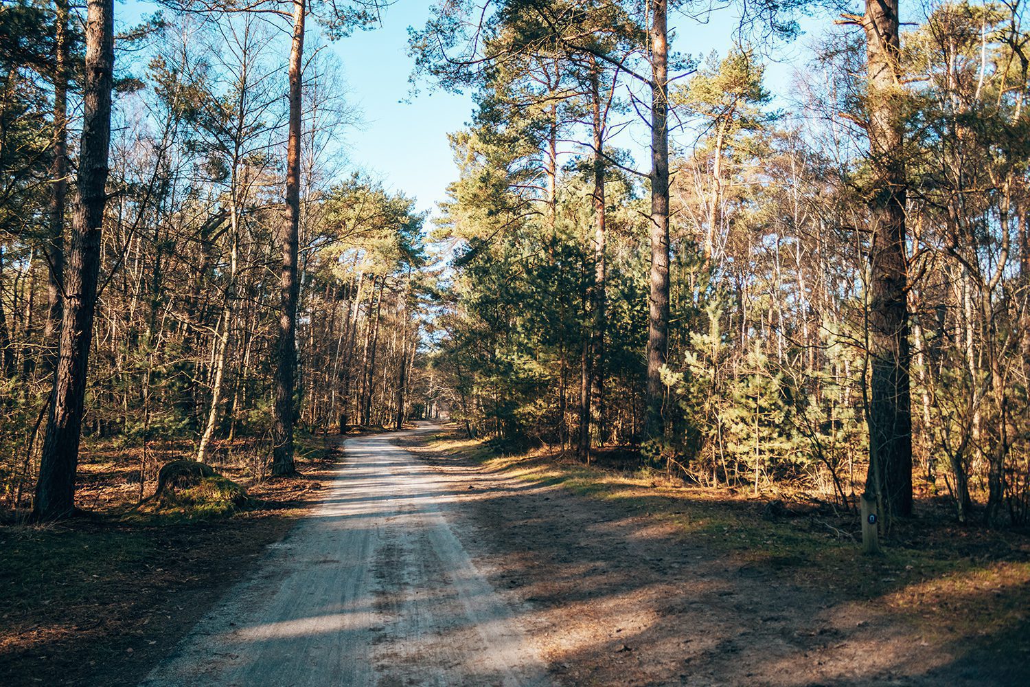 wandelen roestelberg