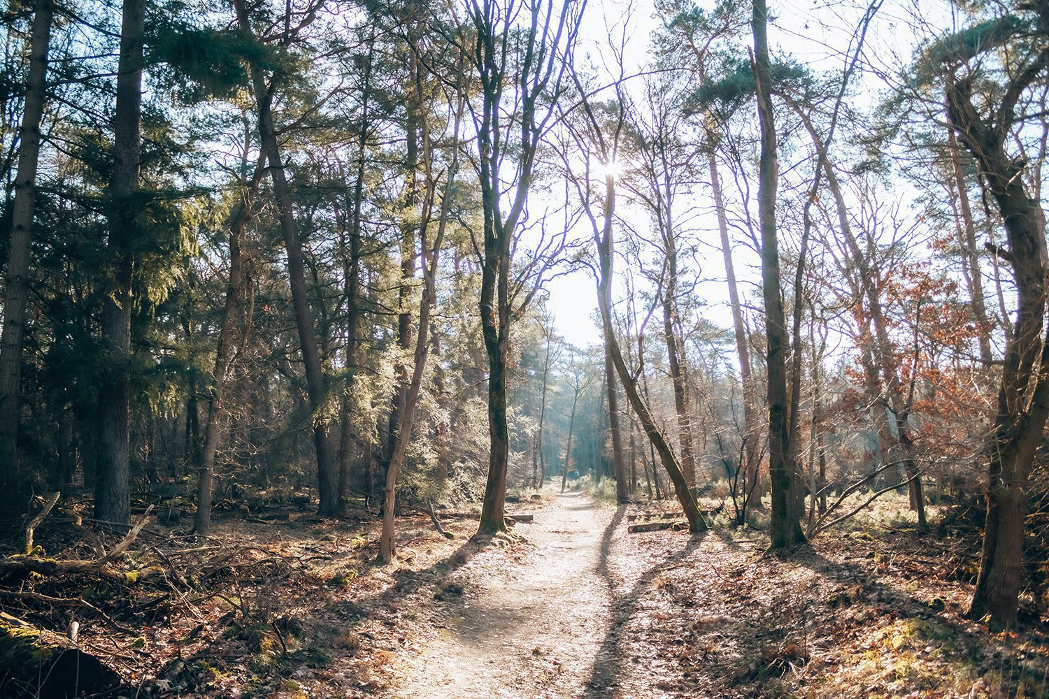 wandelen roestelberg