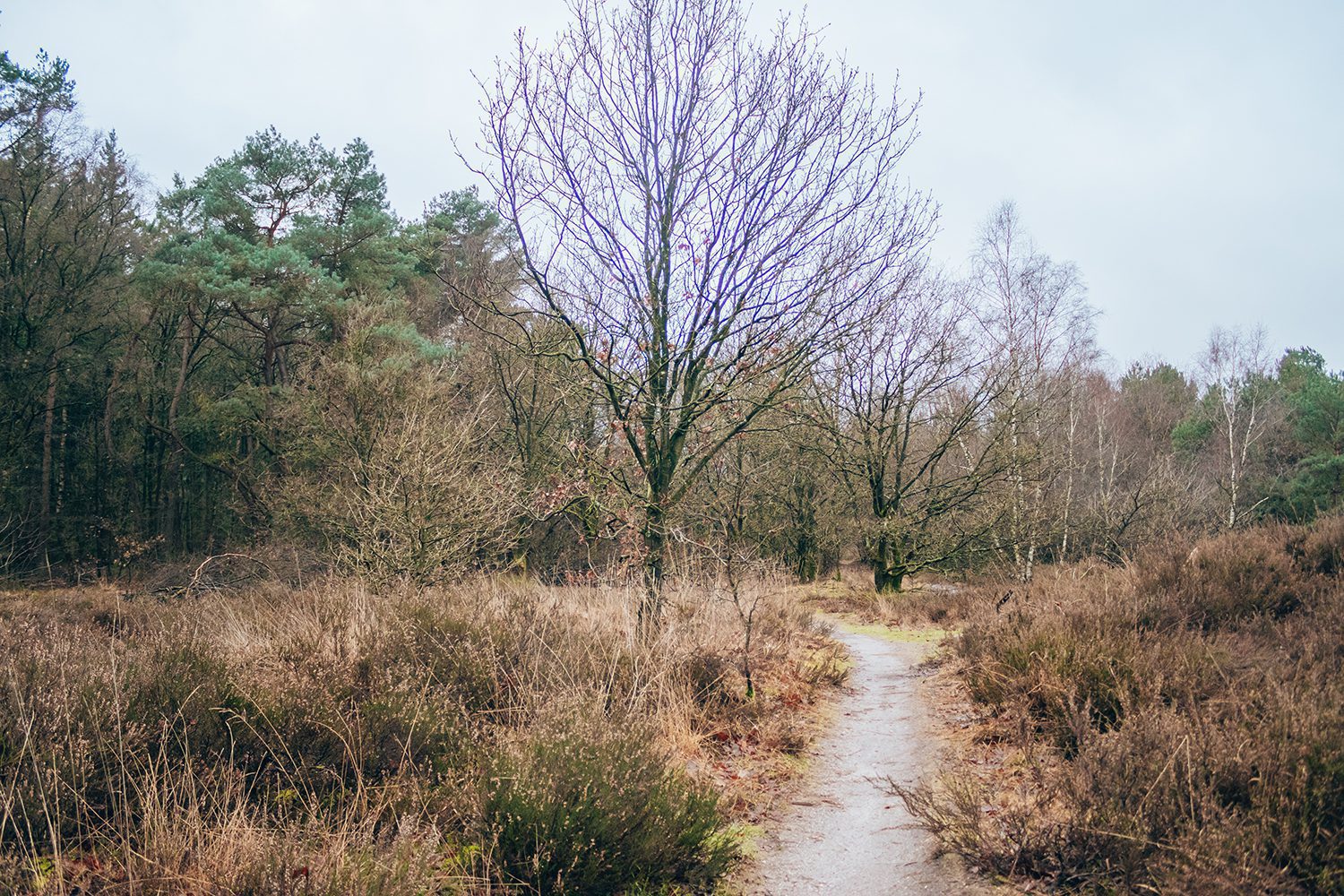 trage tocht staverden