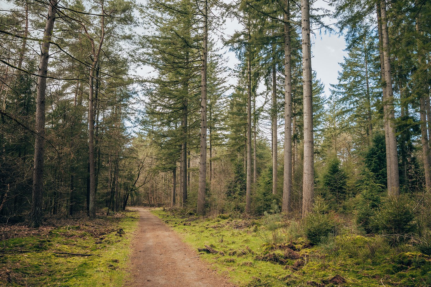 wandelropute boeschoten