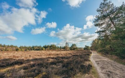 Wandelroute Van ’t Hoff