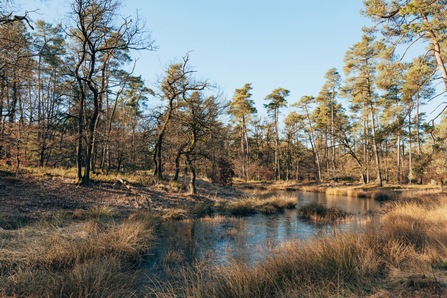 wandelroute de Hoge Duvel