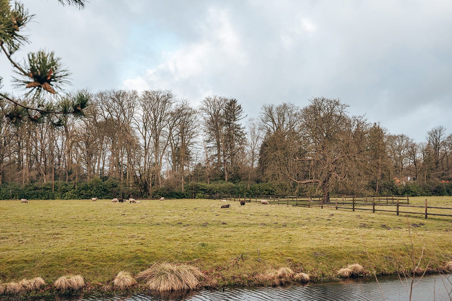 's-gravelandse buitenplaatsen