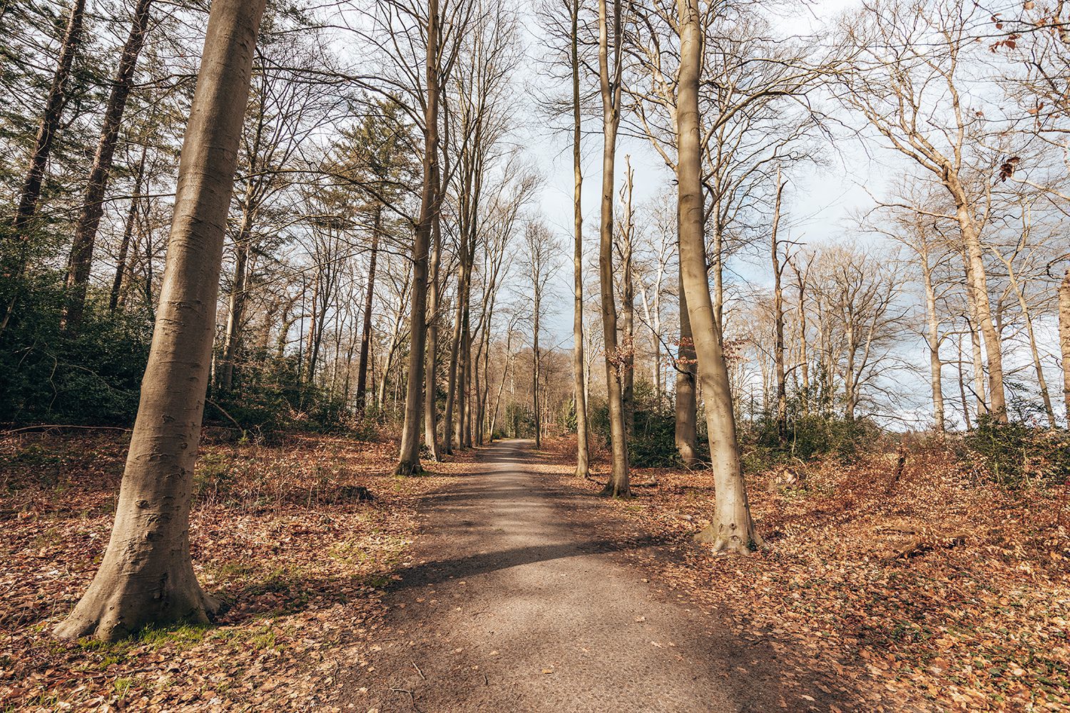 's-gravelandse buitenplaatsen