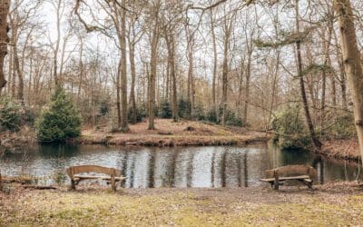 Trage Tocht ‘s-Graveland