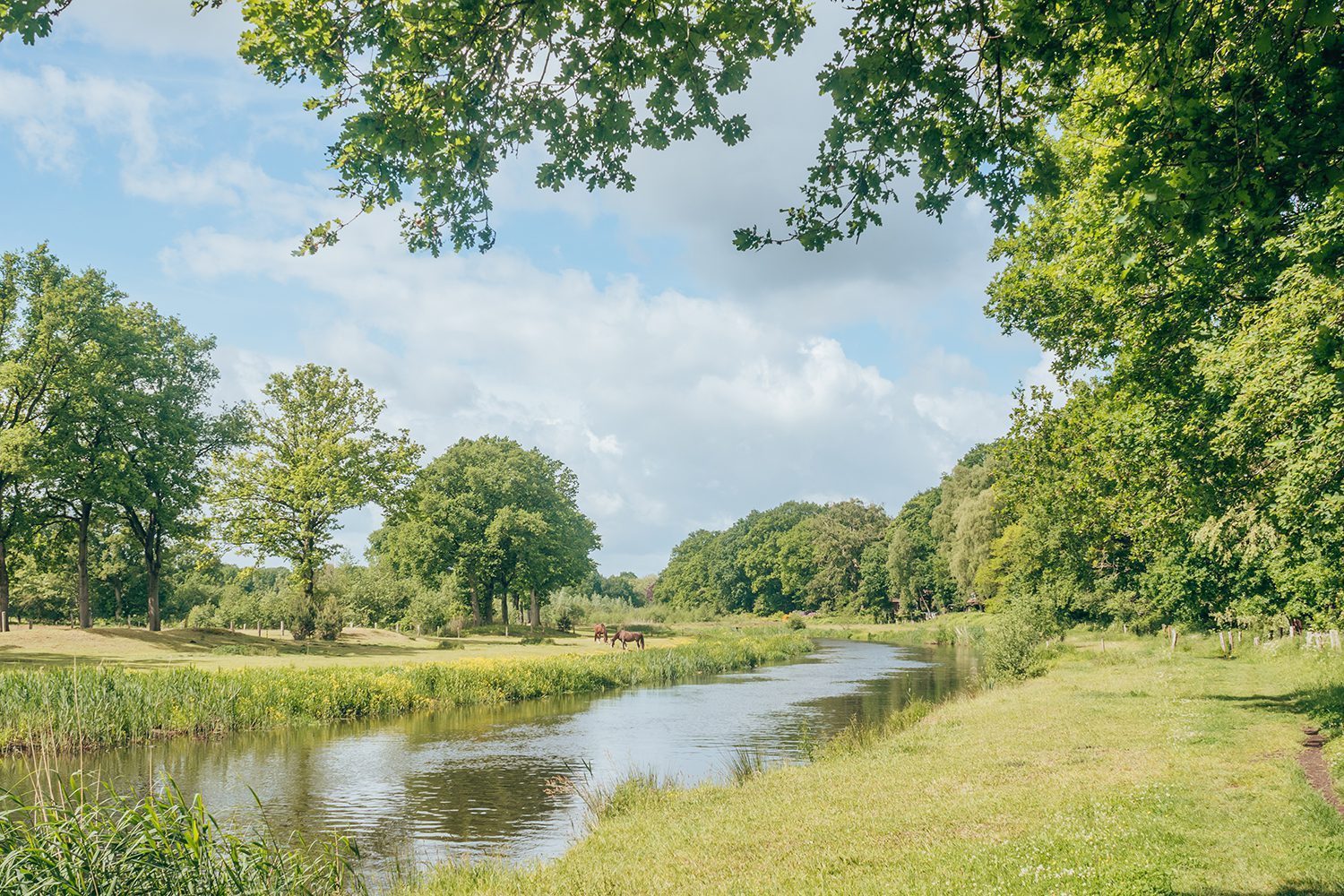 Lentewandelingen