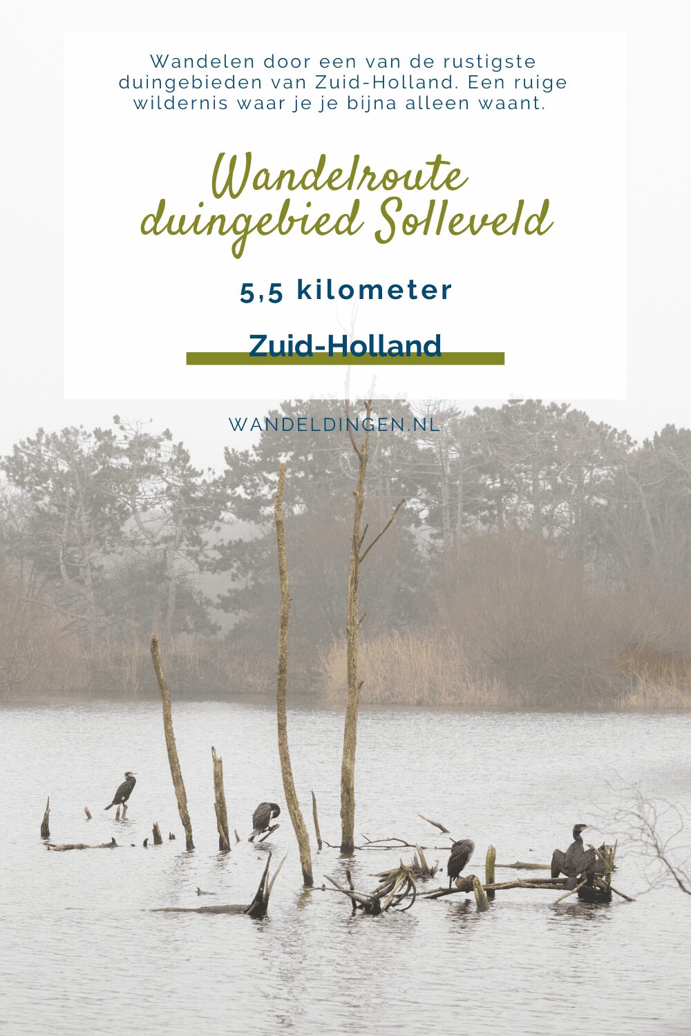 duingebied Solleveld