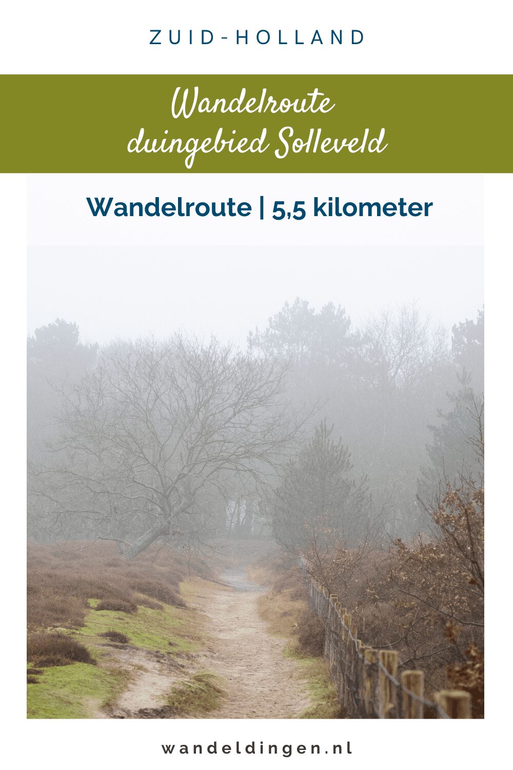 duingebied Solleveld