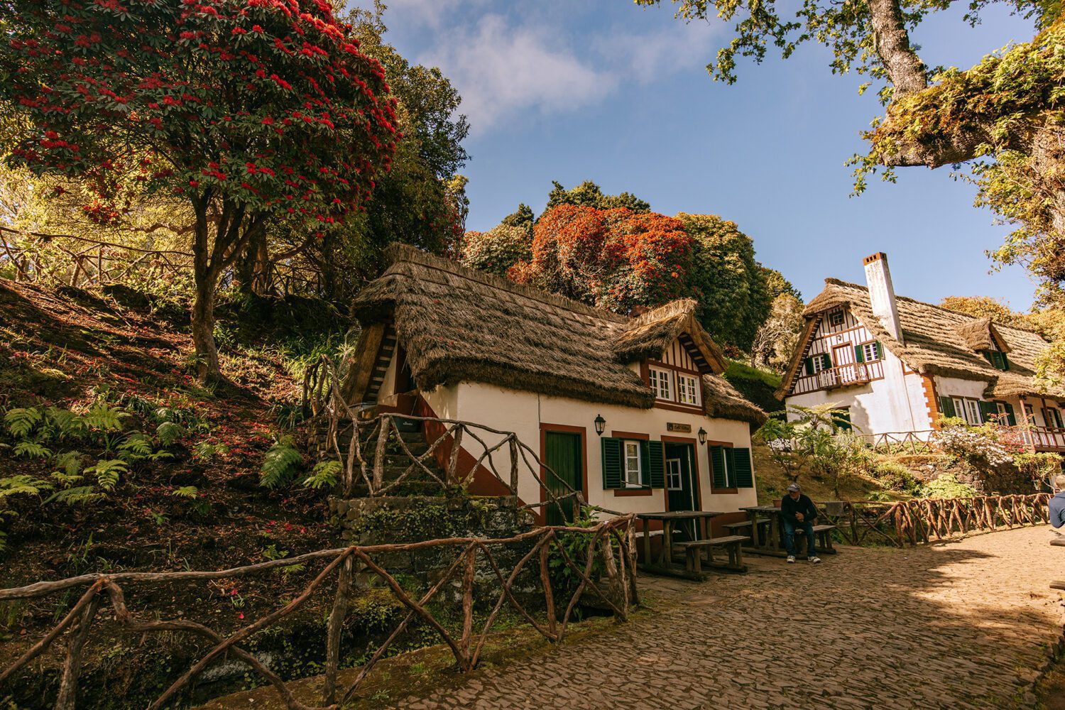 PR Queimadas Madeira