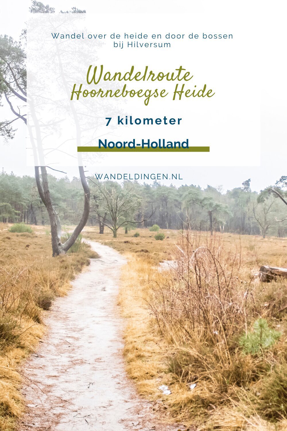 Hoorneboegse Heide