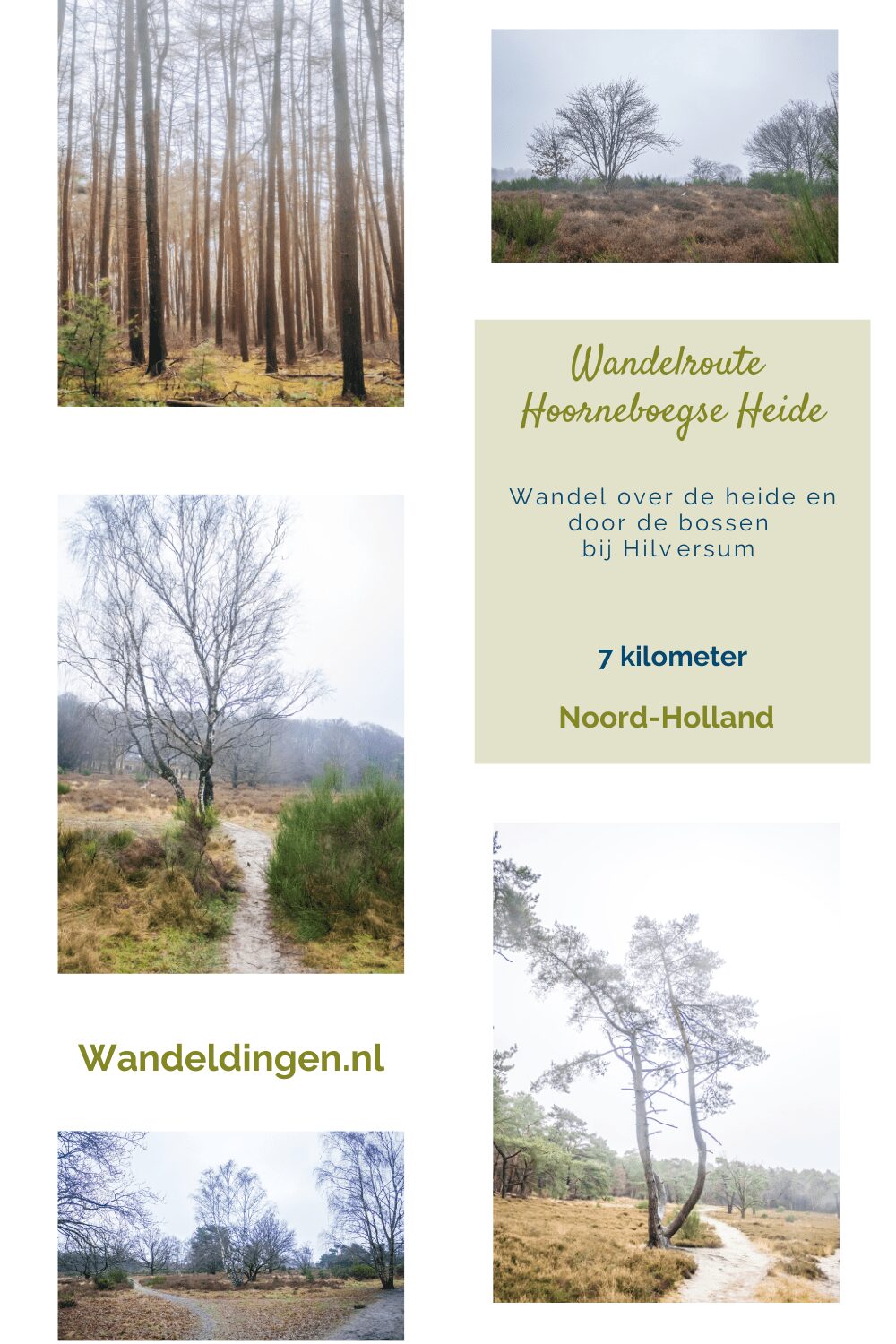 Hoorneboegse Heide