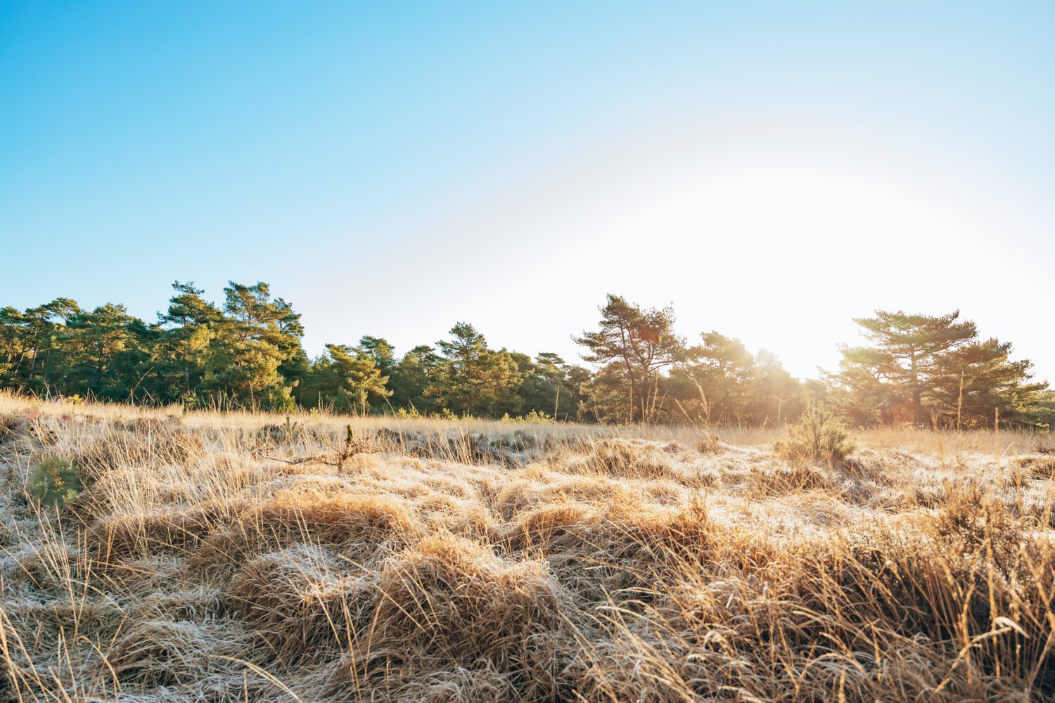 wandelroutes Paleis het Loo