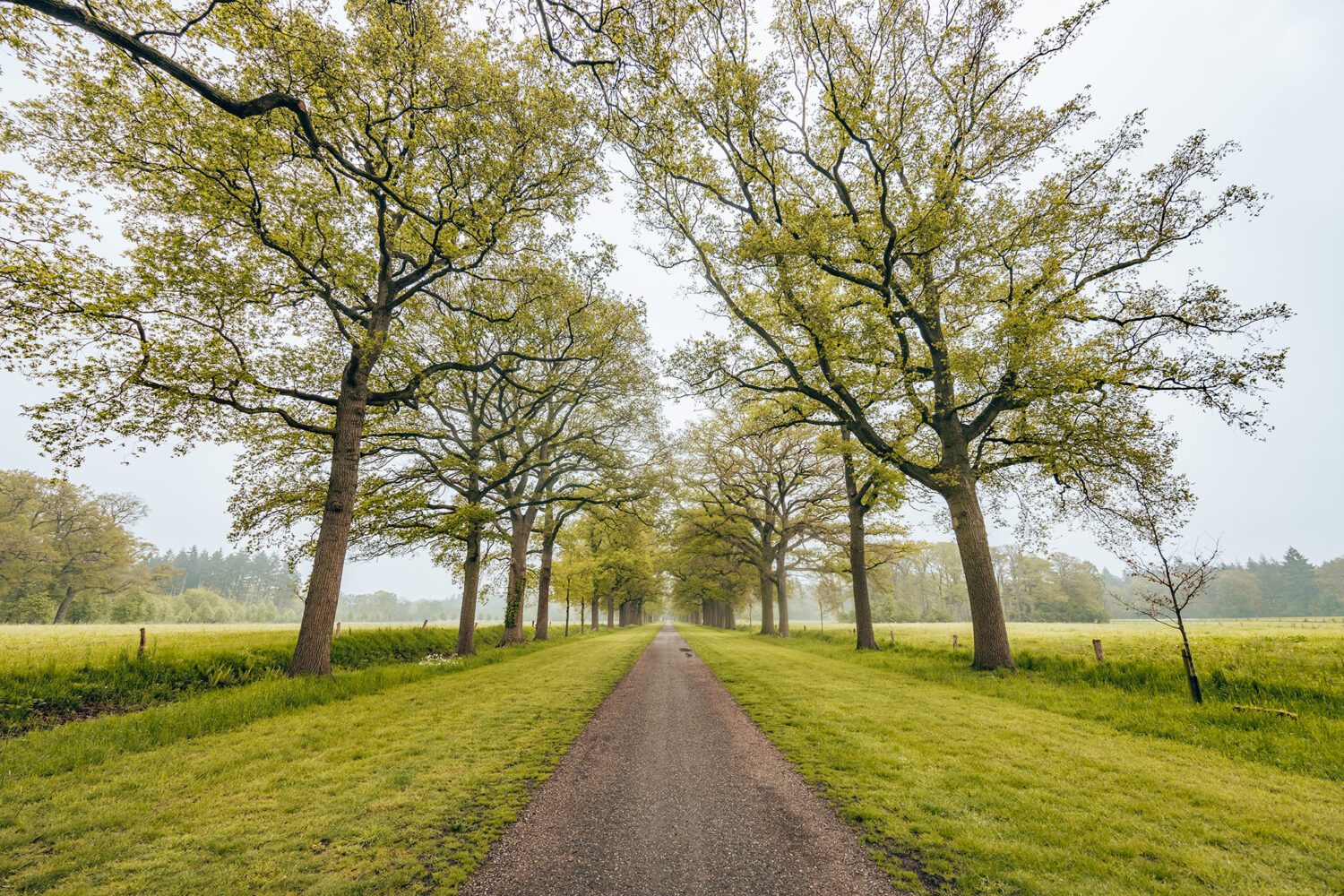 wandelen landgoed singraven