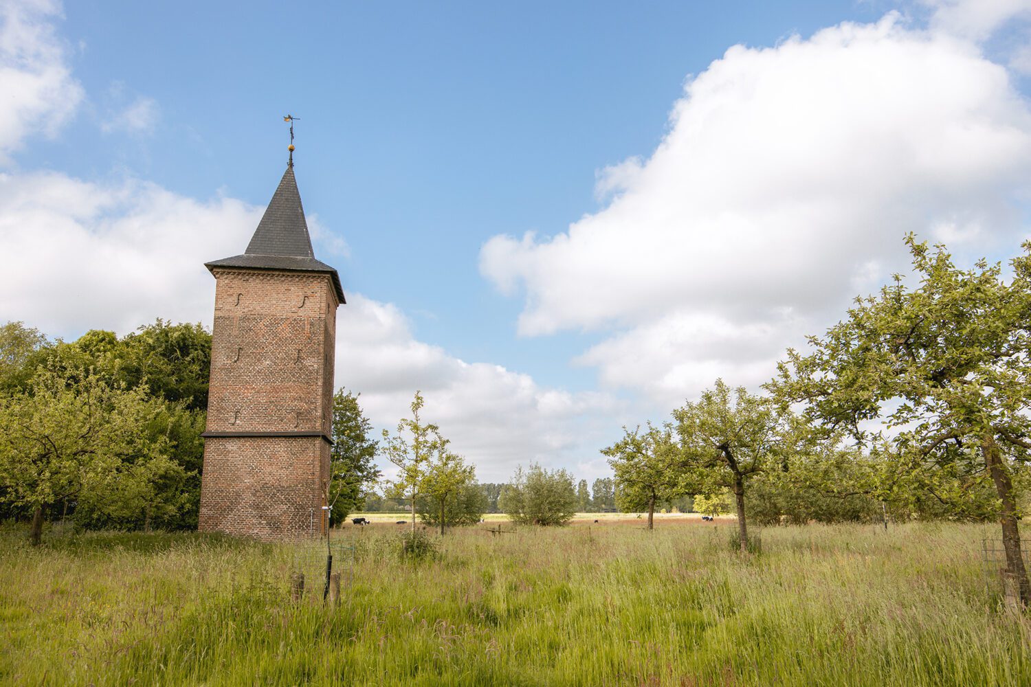 wandelen langs de dommel