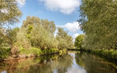 Rode wandelroute Dommeldal 