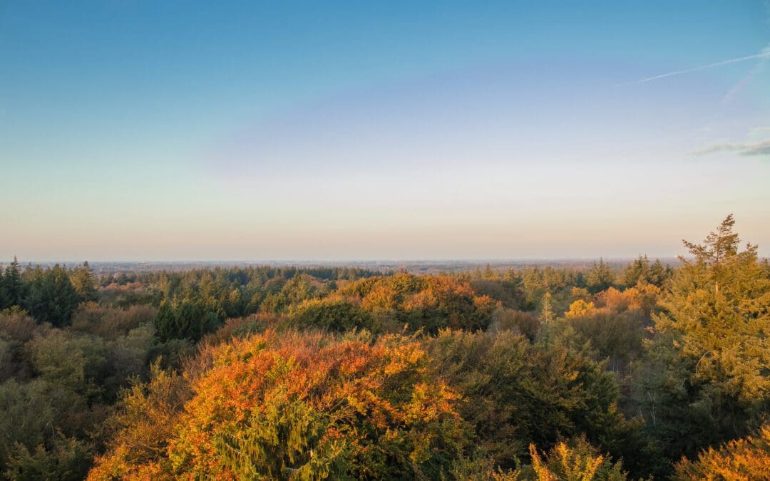 Komootroute Kaapse Bossen