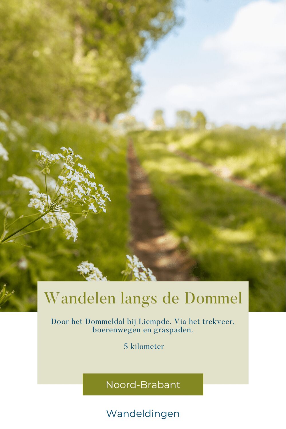 wandelen langs de dommel