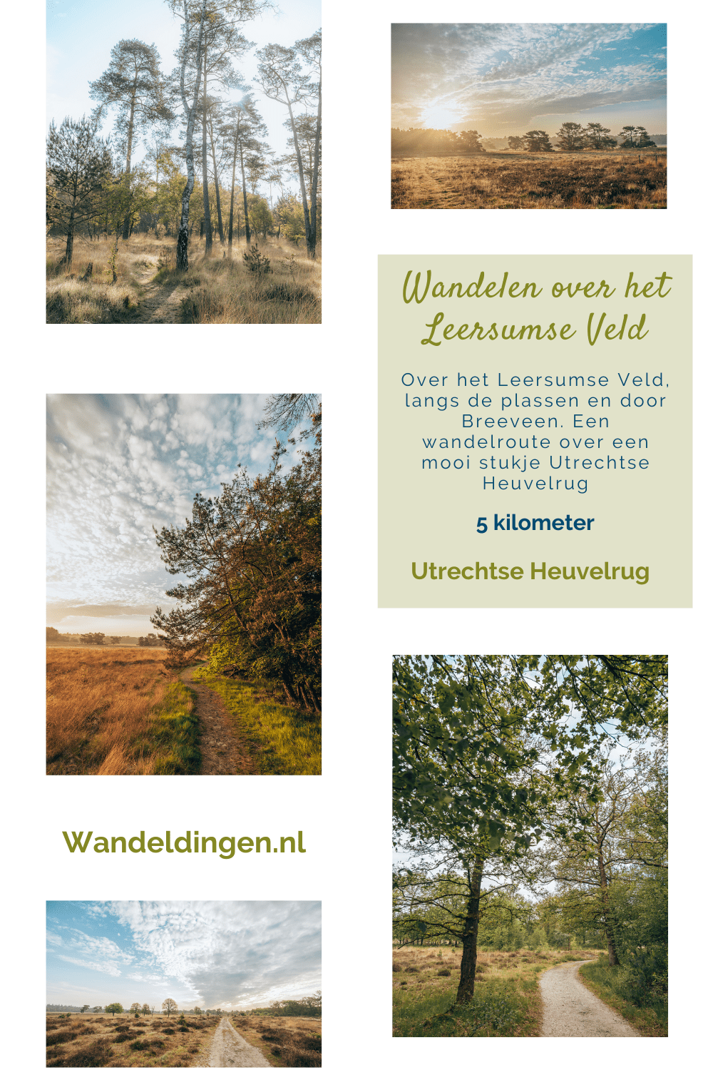 Wandelen Leersumse Veld