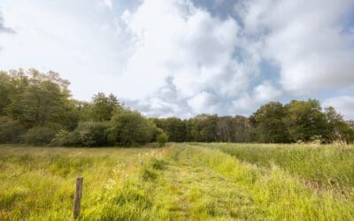 Komootroute De Mortelen 