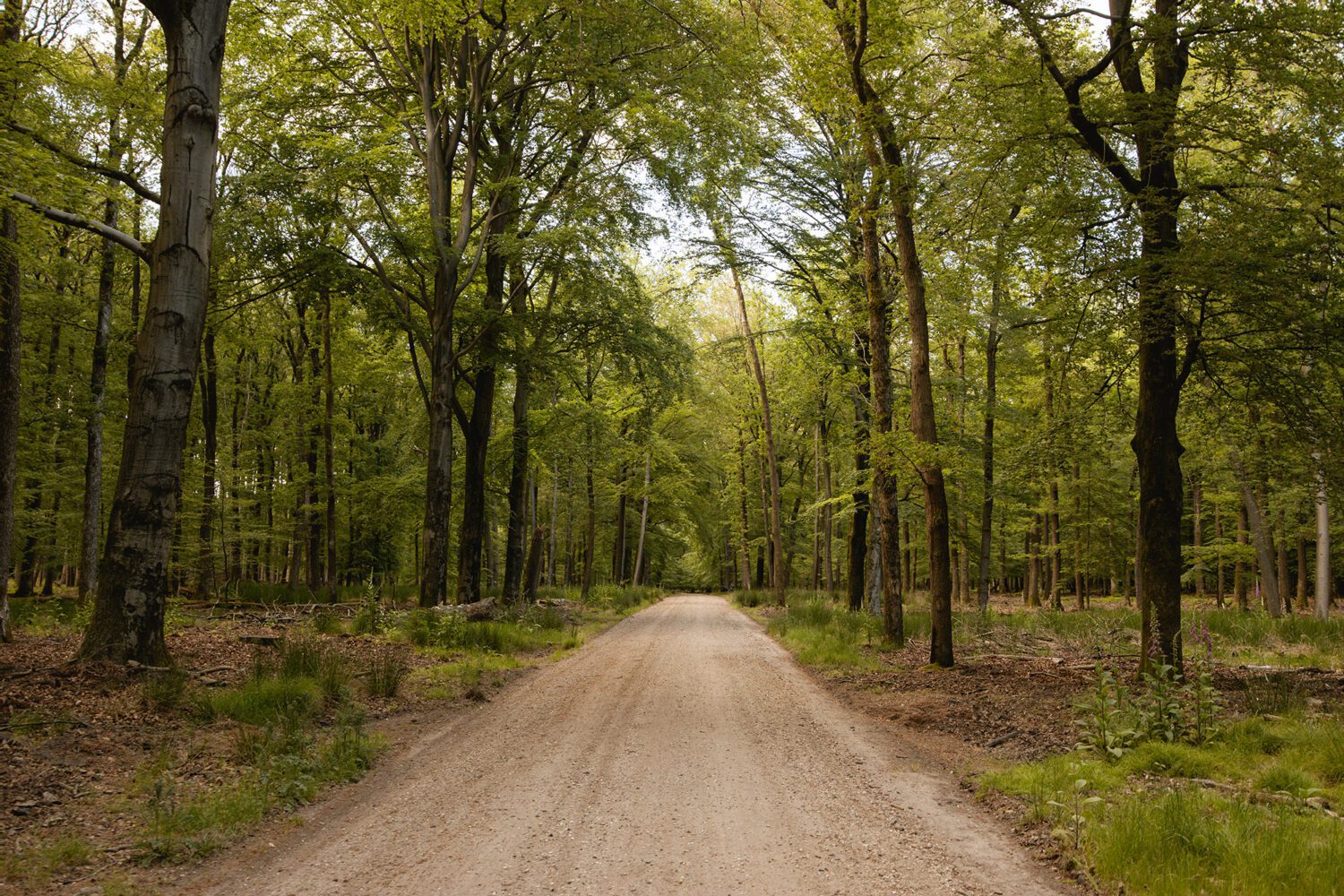 wandelroute aardschoten