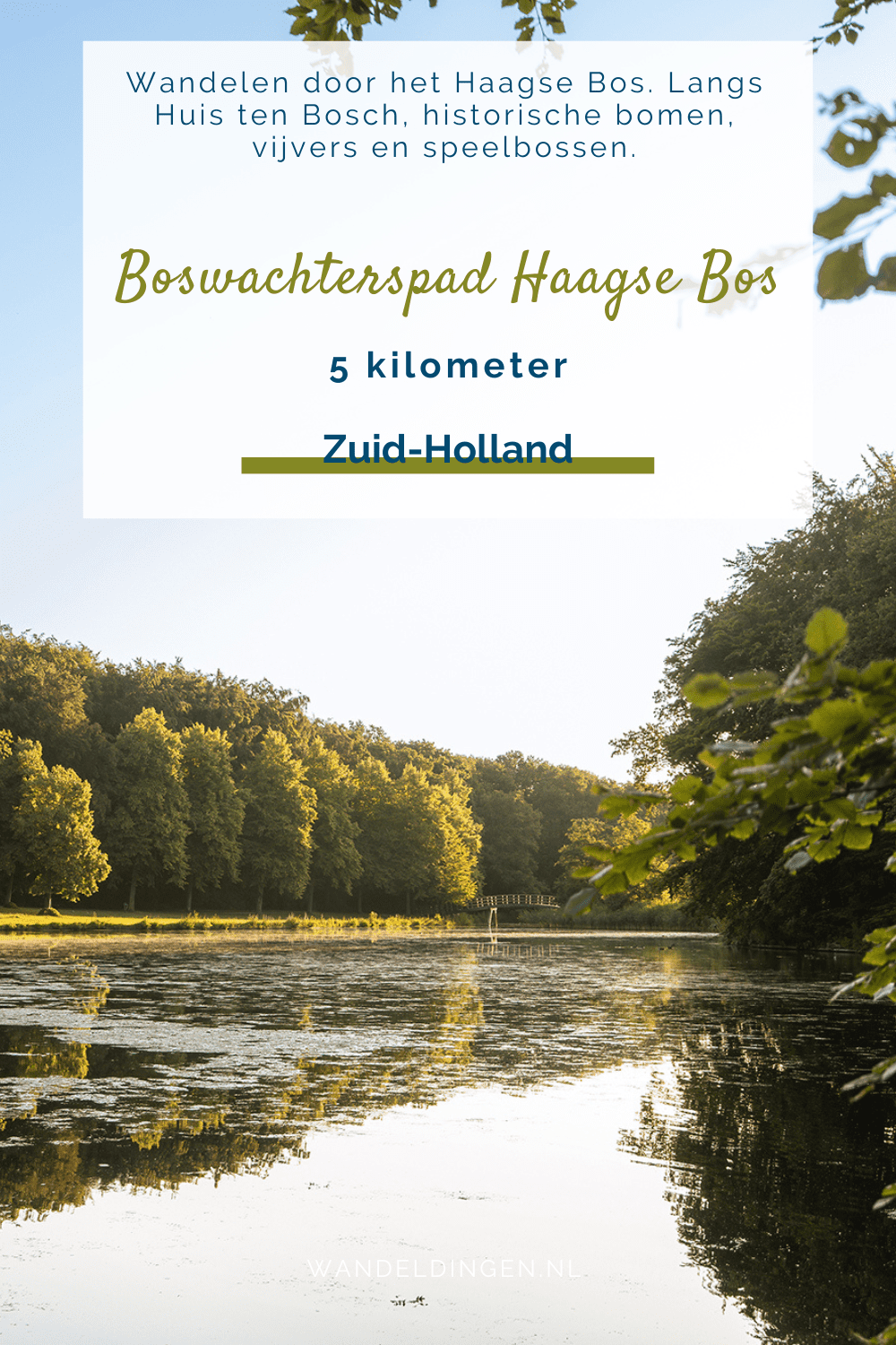 boswachterspad Haagse Bos