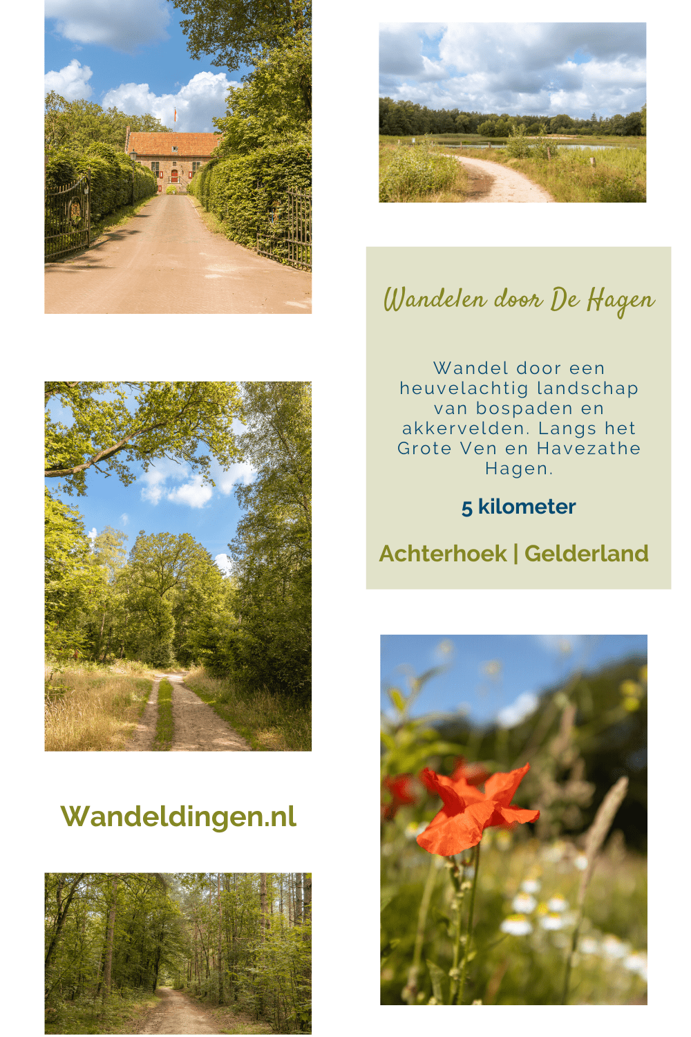 wandelen de hagen