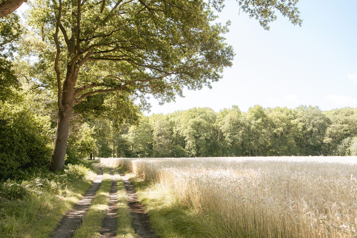 wandelen hackfort