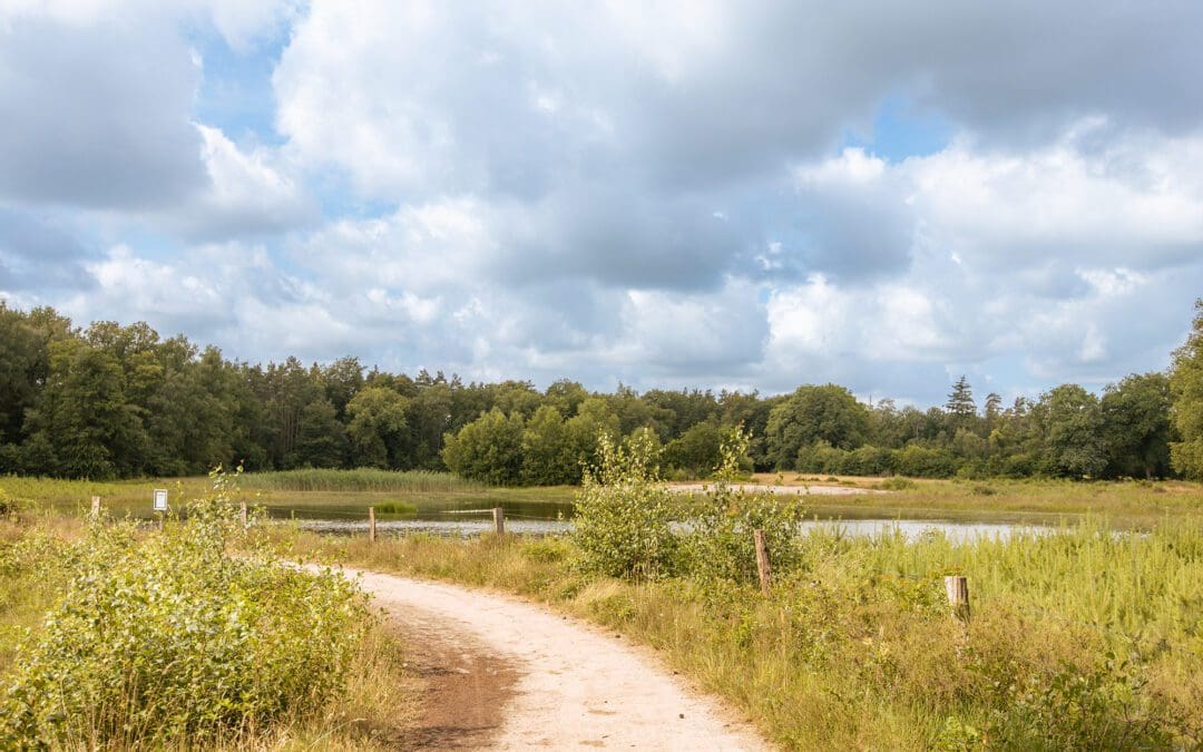wandelen de hagen