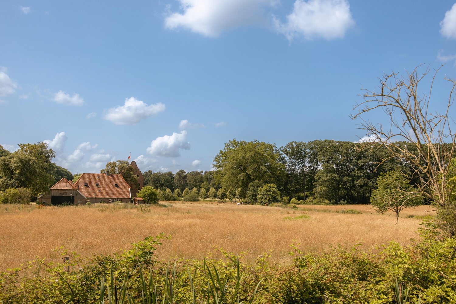 wandelen de hagen