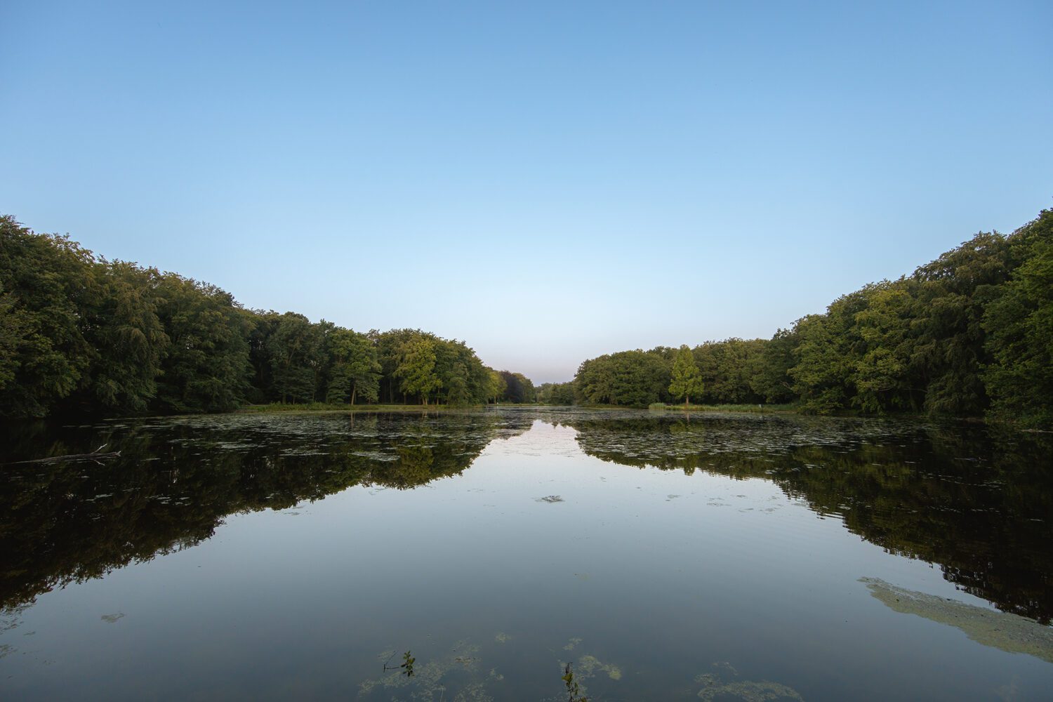 boswachterspad Haagse Bos