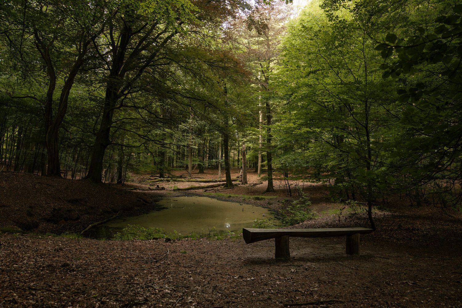 wandelroute Dassenberg